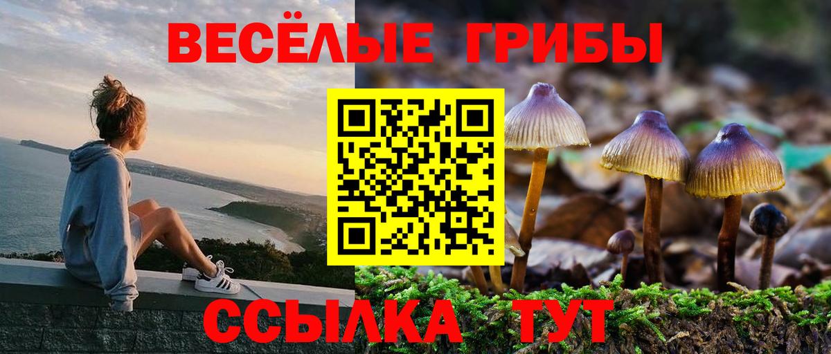 Галлюциногенные грибы мухоморы  Вход с VPN  Азнакаево 